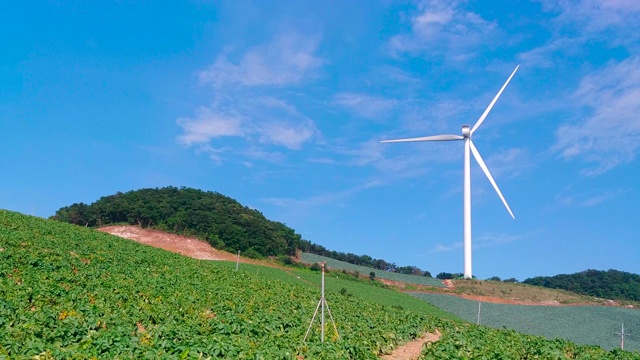 “Anbandegi”田(风景优美的白菜地)和风力涡轮机/江陵溪，江原道，韩国视频素材