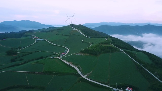 “Anbandegi”田(风景优美的白菜地)和带雾的风力涡轮机/江陵溪，江源道，韩国视频素材