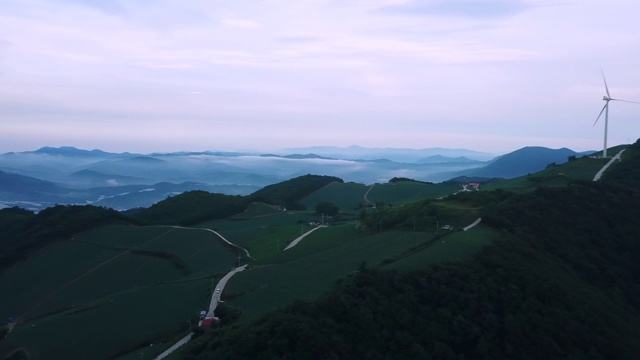 韩国江原道江陵溪“Anbandegi”田上的雾视频素材