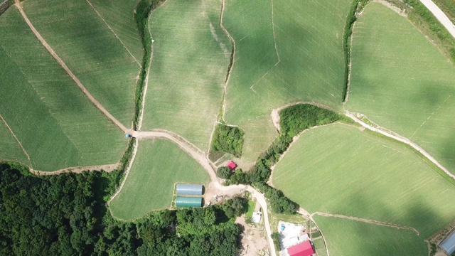 “Anbandegi”田(风景白菜地)/江陵溪，江原道，韩国视频素材