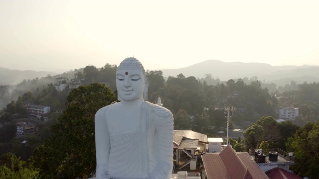 雄踞的白色大佛俯瞰着周围郁郁葱葱的青山视频素材