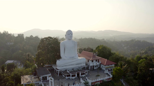 雄踞的白色大佛俯瞰着周围郁郁葱葱的青山视频素材