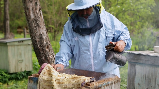 近距离观察养蜂人使用一个吸烟者冷静的蜜蜂。养蜂人的手与烟工具视频素材