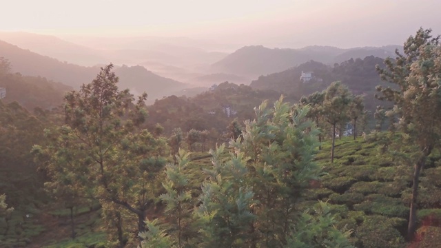 印度穆纳尔美丽的绿色薄雾之国视频素材