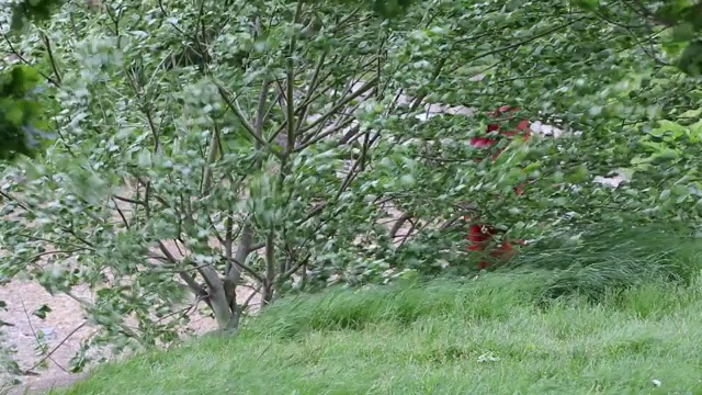 英国湖区安布尔赛德遭遇了反常的大风天气。视频素材