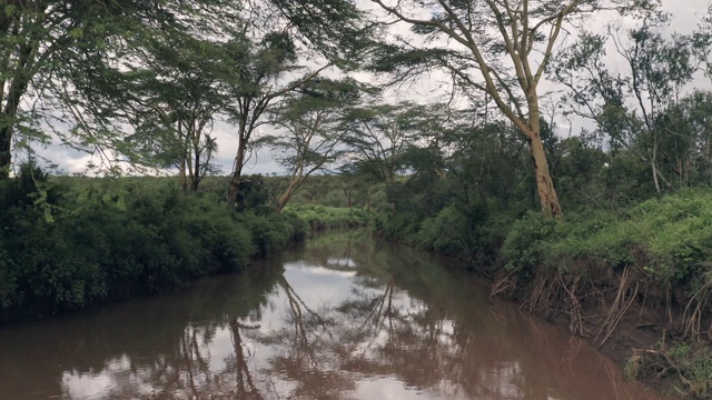 肯尼亚莱基皮亚(Laikipia)的一条河流视频素材