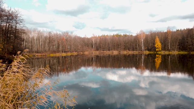 Panorama of the lake in the middle of the autumn forest, in the mirror surface of the pond reflect the blue sky .全景湖中央的秋林，在池塘的镜面反射出蔚蓝的天空视频素材