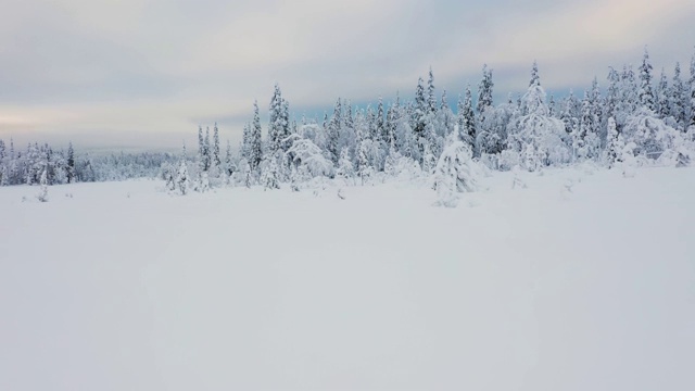 在雪地上向山林缓慢飞行视频素材