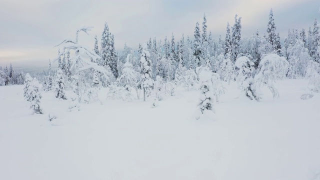 在雪地上向山林缓慢飞行视频素材