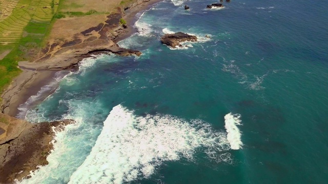 夏天碧波荡漾的大海和碧绿的稻田，风景如画视频素材