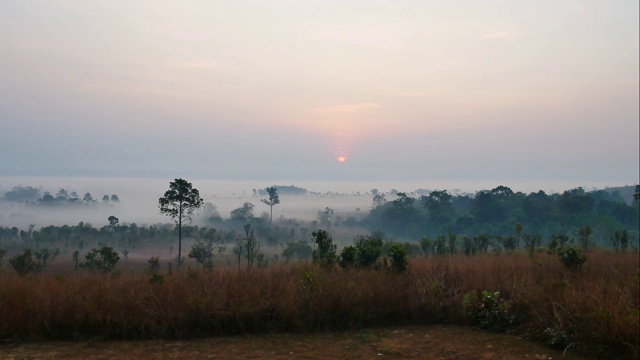 森林山坡在低云与常绿的针叶树笼罩在薄雾中风景如画的通廊Phaya在Tung salaengluang国家公园，Phetchabun视频素材