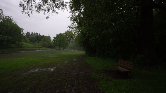 下雨小径视频素材