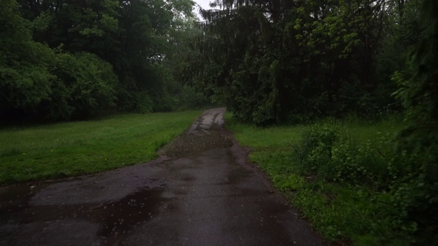 下雨小径视频素材