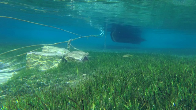 浅水区的渔船站在覆盖着绿色海草的海床上，沐浴着阳光。水下视图视频素材