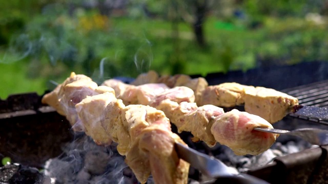 烧烤季节已经开始了。后院的猪肉串。视频素材