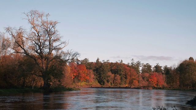 秋天的河岸视频素材