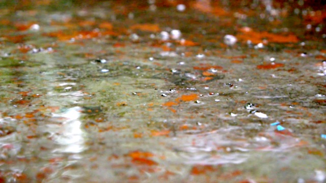 雨点溅在地板上视频素材