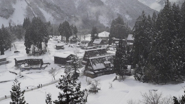 -歌山-歌山视频素材