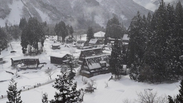 -歌山-歌山视频素材