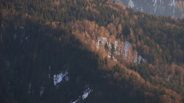 森林山视频素材