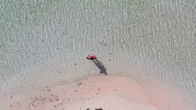 正上方的女人站在海滩上望着大海视频素材