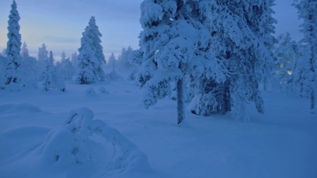 黄昏时分，芬兰拉普兰的雪峰林地全景视频素材