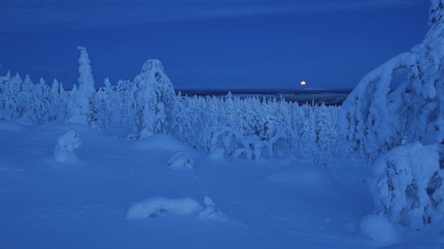 芬兰拉普兰的雪峰森林夜景全景视频素材