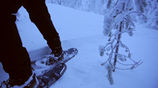 在一个忧郁的日子里，芬兰拉普兰的一个人穿着雪地鞋走在冰冻的森林里视频素材