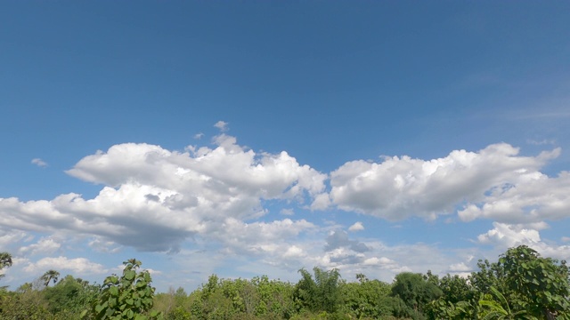 夏日里，美丽天空上的云朵和树木在阳光的吹拂中移动。视频素材