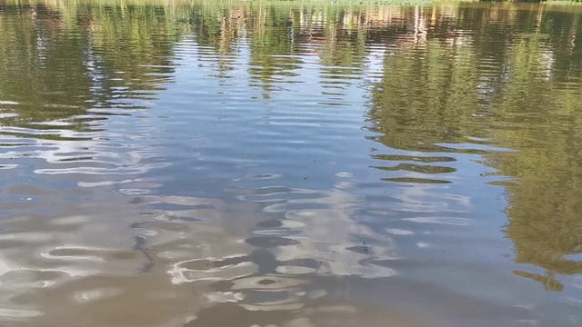 河水的波浪视频素材