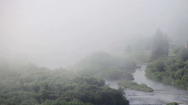 浓雾笼罩着茂密的针叶林。山河在晨雾中。视频素材