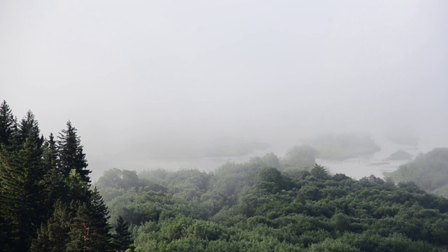 浓雾笼罩着茂密的针叶林。山河在晨雾中。视频素材