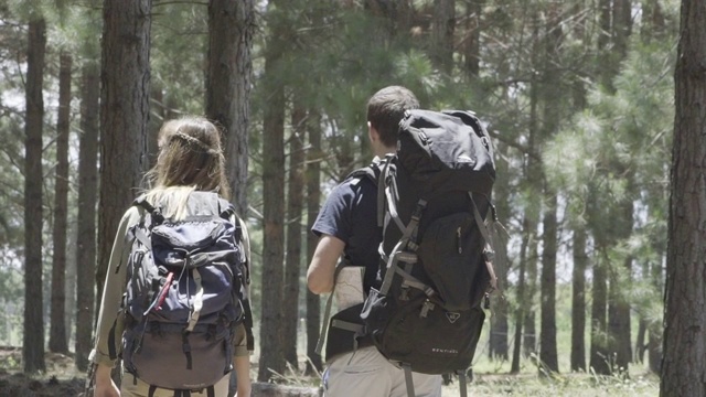 在树林里散步的徒步旅行者视频素材