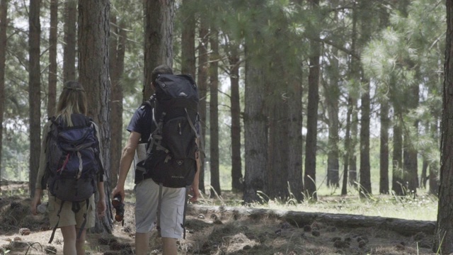 在树林里散步的徒步旅行者视频素材