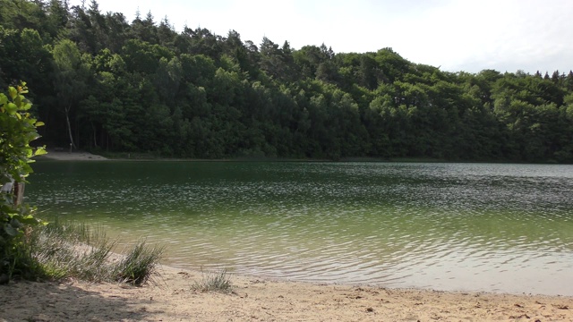 清澈的河水沿着湖岸平静地流动视频素材