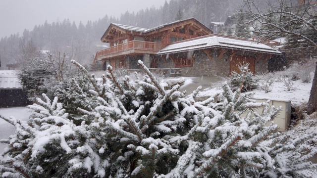 农村下大雪。雪花落在云杉的树枝上，背景是一座美丽的木屋视频素材