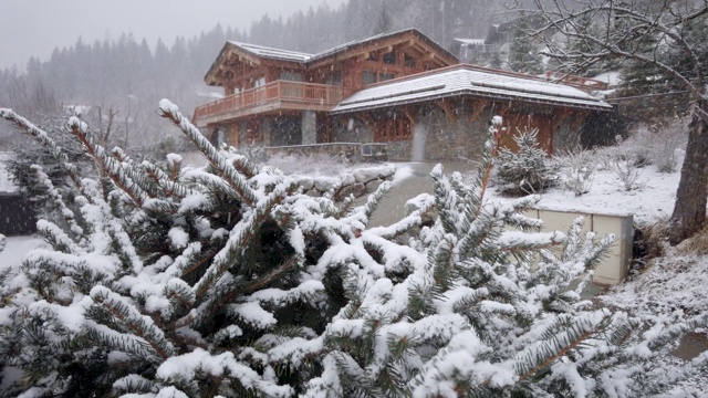 农村下大雪。雪花落在云杉的树枝上，背景是一座美丽的木屋视频素材