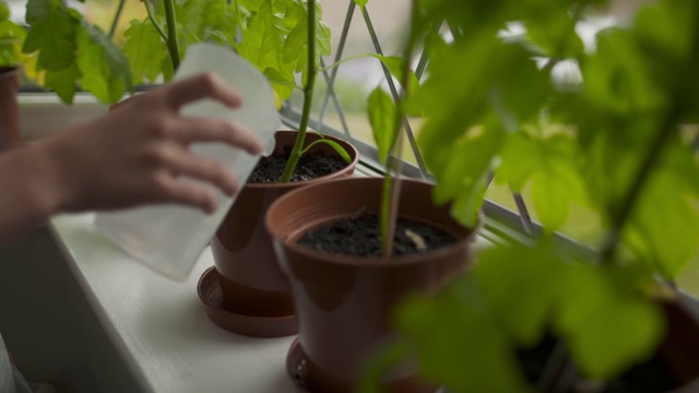 家学校视频下载