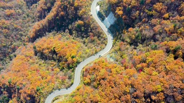 韩国江原道，古龙宁关/洪川枪山道的秋色视频素材