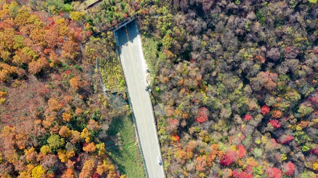 韩国江原道，古龙宁关/洪川枪山道的秋色视频素材