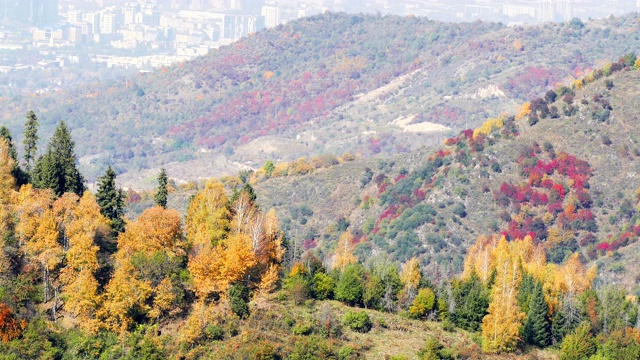 阿拉木图市附近的秋天视频素材