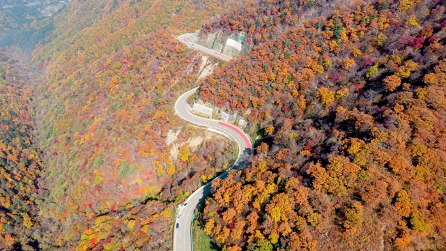 韩国江原道，古龙宁关/洪川枪山道的秋色视频素材