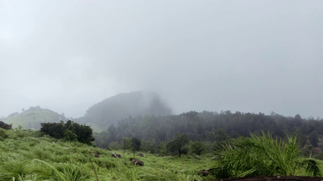 在喀拉拉邦，雾通过绿色草地的时间流逝与山脉的背景与文本动画空间。Ponmudi,喀拉拉邦。视频下载