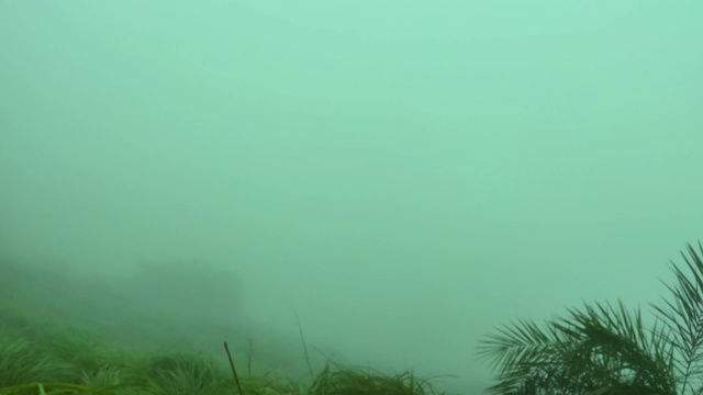 时间流逝的雾通过绿色草地在喀拉拉邦与文本动画空间。Ponmudi,喀拉拉邦。视频下载