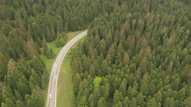 山路视频素材