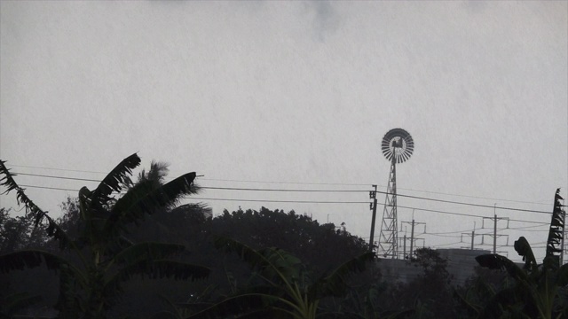 花园里下着雨，泰国有雷雨视频素材