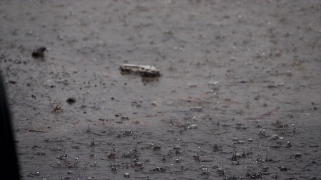 雨点缓慢地落在人行道上视频素材