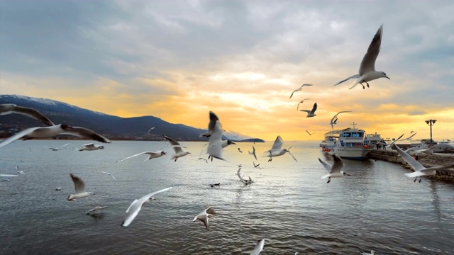 海鸥在奥赫里德湖码头日落天空的背景视频素材