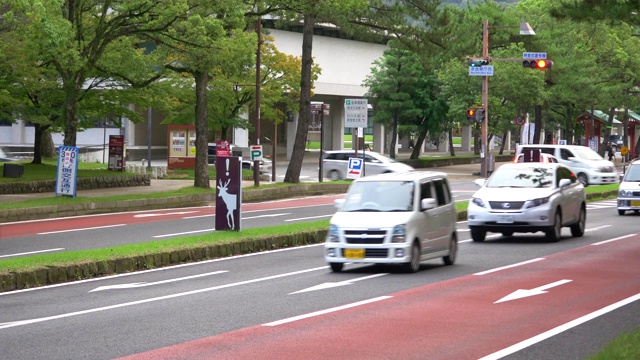 谨防鹿视频下载