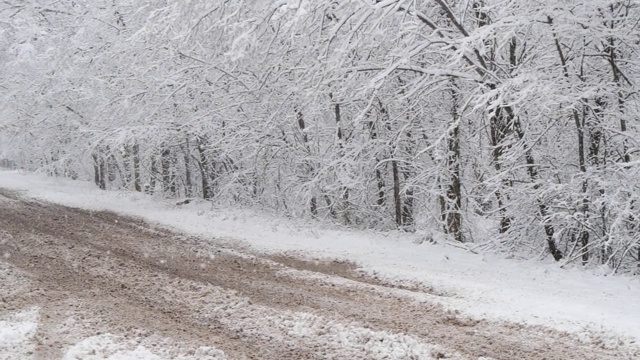 冬天森林里的慢镜头降雪视频素材